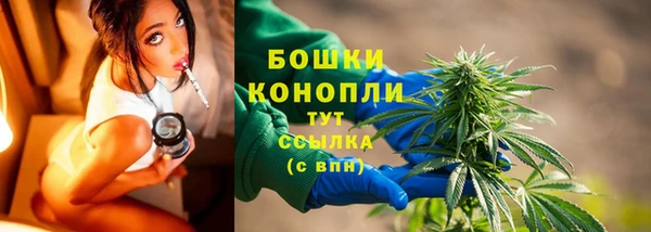 spice Верея