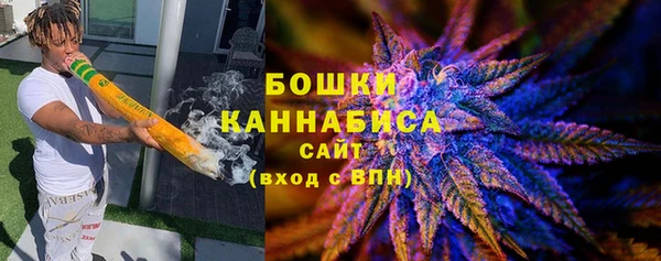 PSILOCYBIN Богородск
