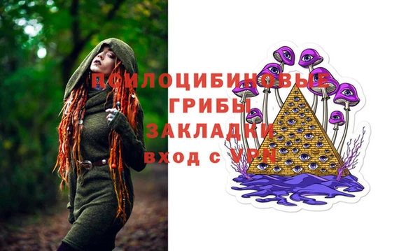 spice Верея