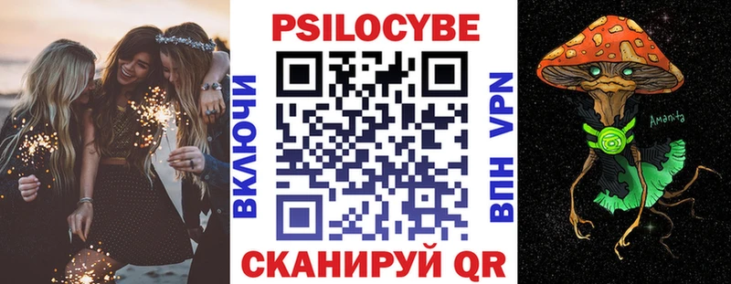 Псилоцибиновые грибы Psilocybe  Купить закладки  Осинники 